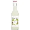 Monin Sirup Cocos 250ML